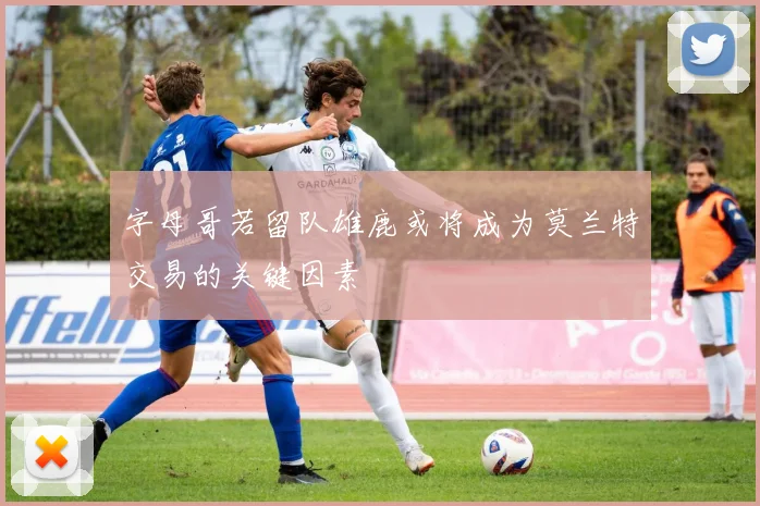字母哥若留队雄鹿或将成为莫兰特交易的关键因素